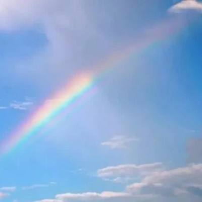 kok中欧登录入口